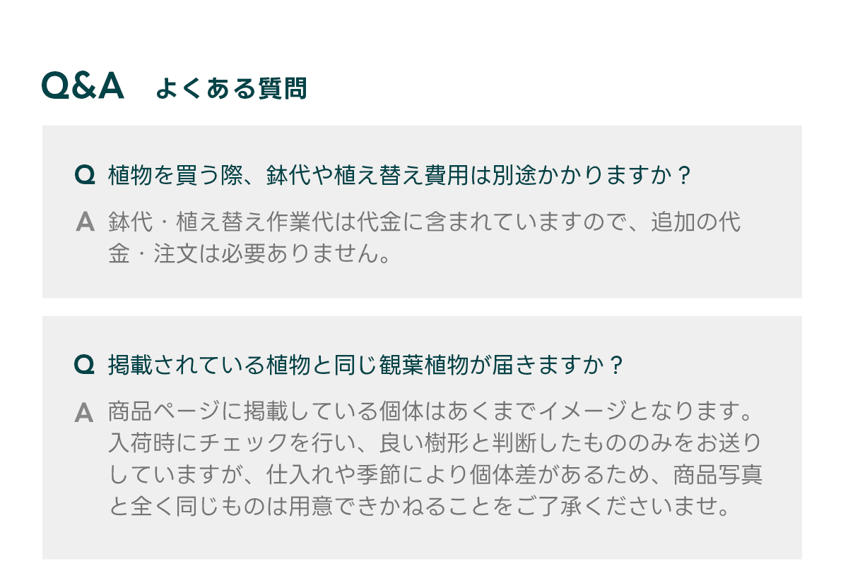 Q&Aよくある質問 Q 植物を買う際、鉢代や植え替え費用は別途かかりますか？  A 鉢代・植え替え作業代は代金に含まれていますので、追加の代金・注文は必要ありません。   Q 掲載されている植物と同じ観葉植物が届きますか？  A 商品ページに掲載している個体はあくまでイメージとなります。 入荷時にチェックを行い、良い樹形と判断したもののみをお送りしていますが、仕入れや季節により個体差があるため、商品写真と全く同じものは用意できかねることをご了承くださいませ。