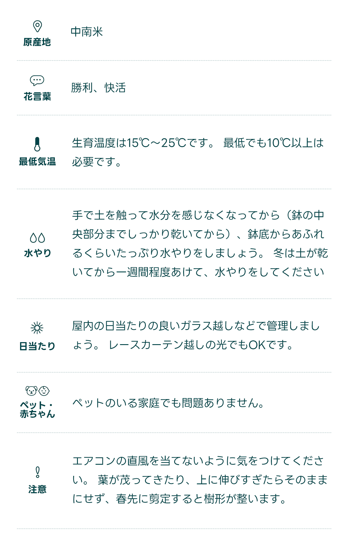原産地 中南米   花言葉 勝利、快活   最低気温 生育温度は15℃〜25℃です。 最低でも10℃以上は必要です。   水やり 手で土を触って水分を感じなくなってから（鉢の中央部分までしっかり乾いてから）、鉢底からあふれるくらいたっぷり水やりをしましょう。 冬は土が乾いてから一週間程度あけて、水やりをしてください。   日当たり 屋内の日当たりの良いガラス越しなどで管理しましょう。 レースカーテン越しの光でもOKです。   ペット・ 赤ちゃん ペットのいる家庭でも問題ありません。   注意 エアコンの直風を当てないように気をつけてください。 葉が茂ってきたり、上に伸びすぎたらそのままにせず、春先に剪定すると樹形が整います。