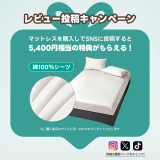 Grand Form グランドリュクスマットレスPLUS