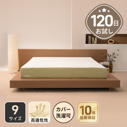 在庫セール中！　カシー リポイン116 スポットレス　5g ✖️ 12本 在庫セール中！ カシー リポイン116 スポットレス 5g ✖️ 12本 在庫