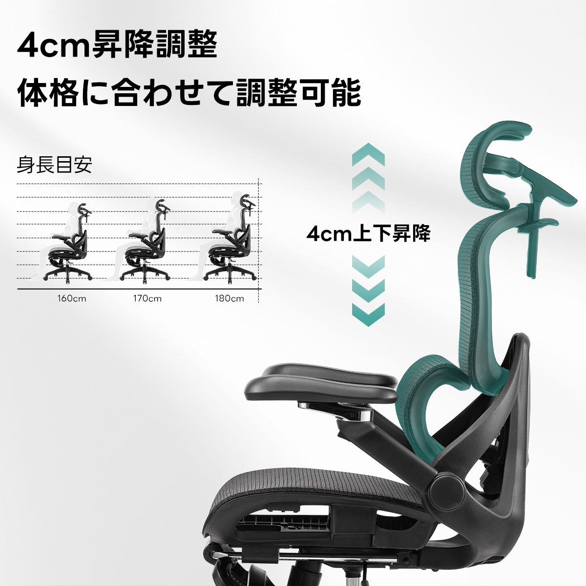 AXISU アクシスエルゴライズオフィスチェア | 快適な長時間作業を実現する調整機能4cm昇降調整体格に合わせて調整可能身長目安4cm上降160cm170cm180cm