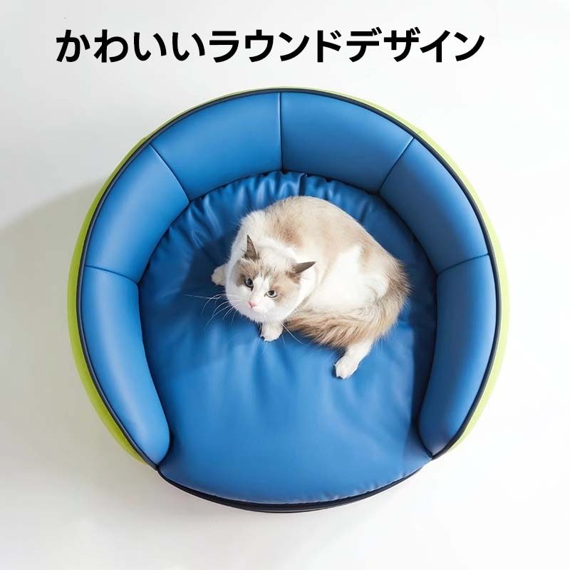 ビビットカラーペット用ソファ