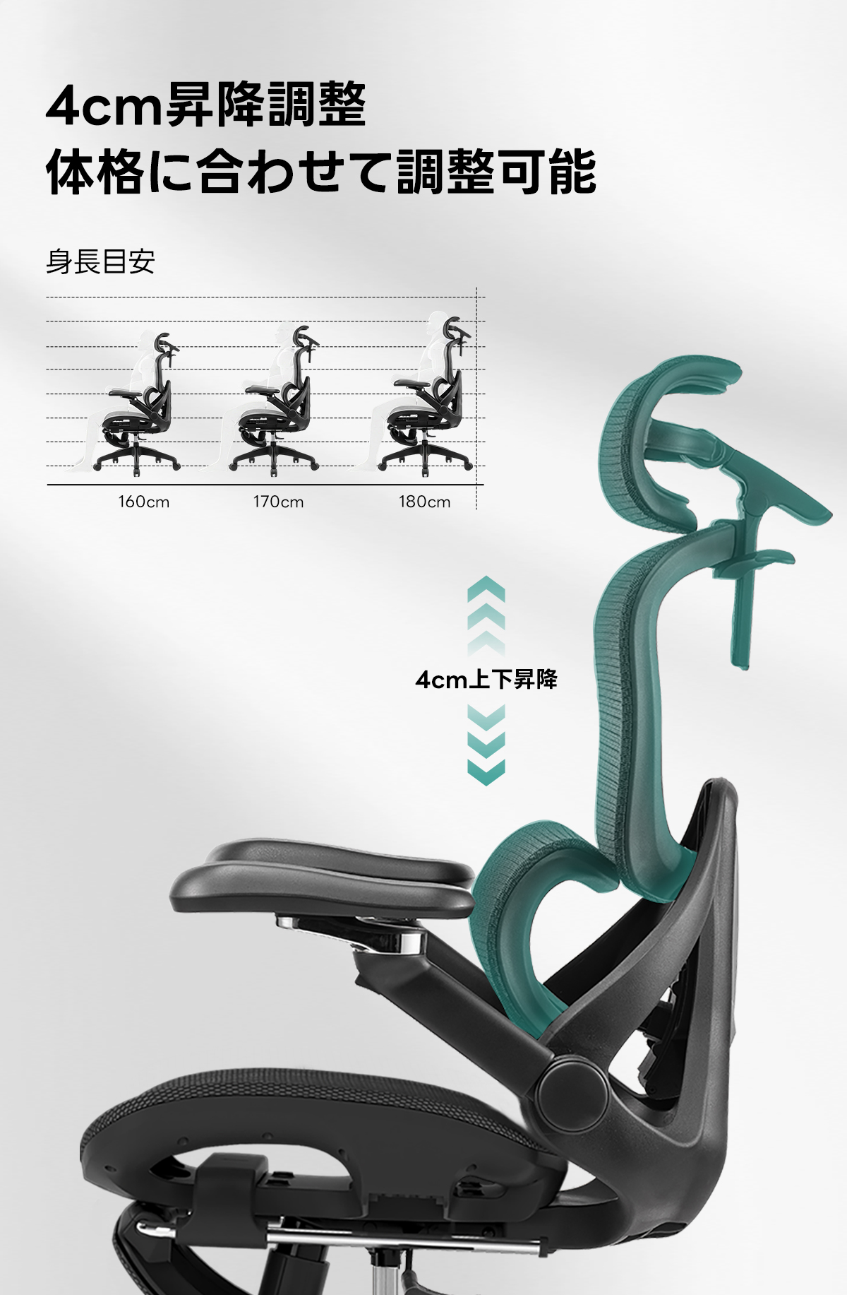 AXISU アクシスエルゴライズオフィスチェア | 快適な長時間作業を実現する調整機能4cm昇降調整体格に合わせて調整可能身長目安160cm170cm180cm4cm上下降y