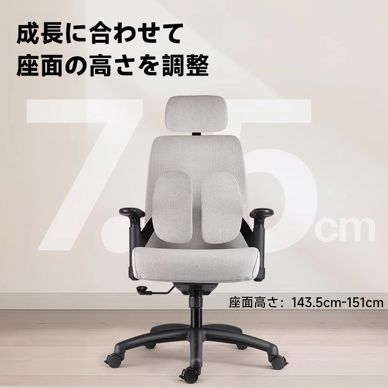 コンフォートリフトチェア