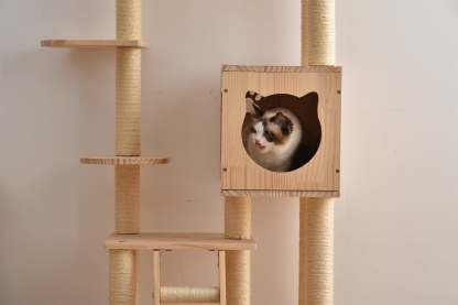 木製透明宇宙船キャットタワー | 遊び心と透明感で猫の冒険心を