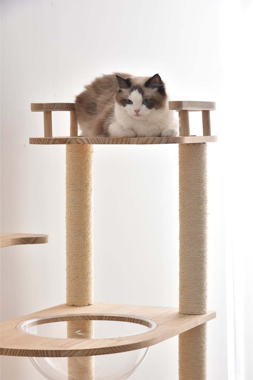 木製透明宇宙船キャットタワー | 遊び心と透明感で猫の冒険心を