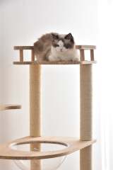 木製透明宇宙船キャットタワー | 遊び心と透明感で猫の冒険心を