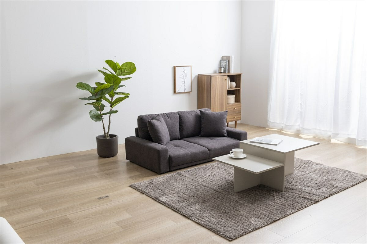 ベーシックデザイン2人掛けローソファ – CAGUUU