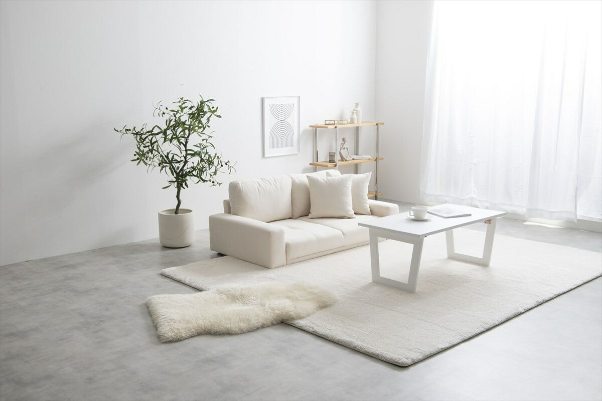 2人掛け　ローソファ ベーシックデザイン2人掛けローソファ – CAGUUU