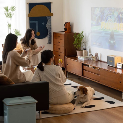 ツゲ材 レトロ調ステンレス脚テレビボード