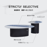 2in1デザインコーヒーテーブル