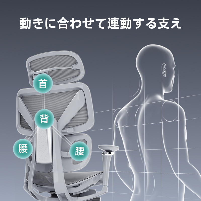 アクシスエルゴコアオフィスチェア