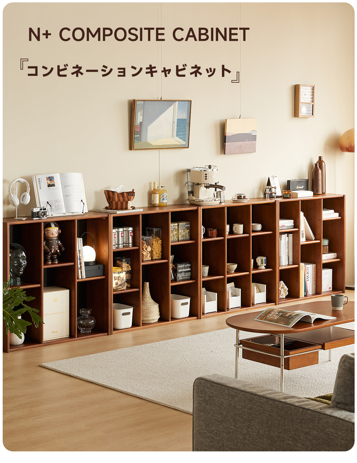 Woody Prime Boxツゲ材 コンビネーションキャビネット – CAGUUU