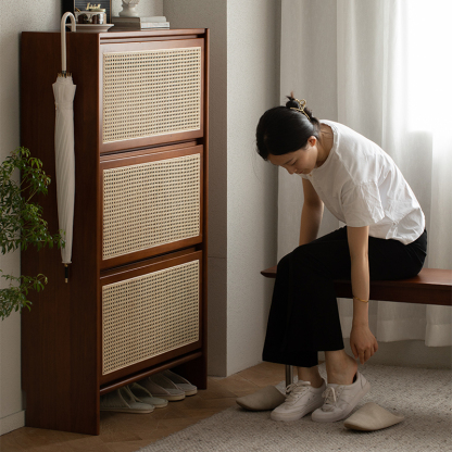 Woody Prime Boxツゲ材 ラタン調シューズキャビネット