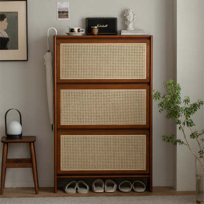 Woody Prime Boxツゲ材 ラタン調シューズキャビネット – CAGUUU