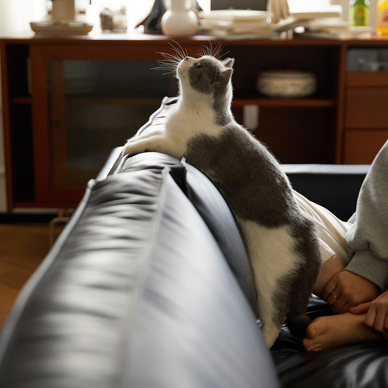 Woody Prime Boxレザー調リビングソファ【カスタマイズ可】