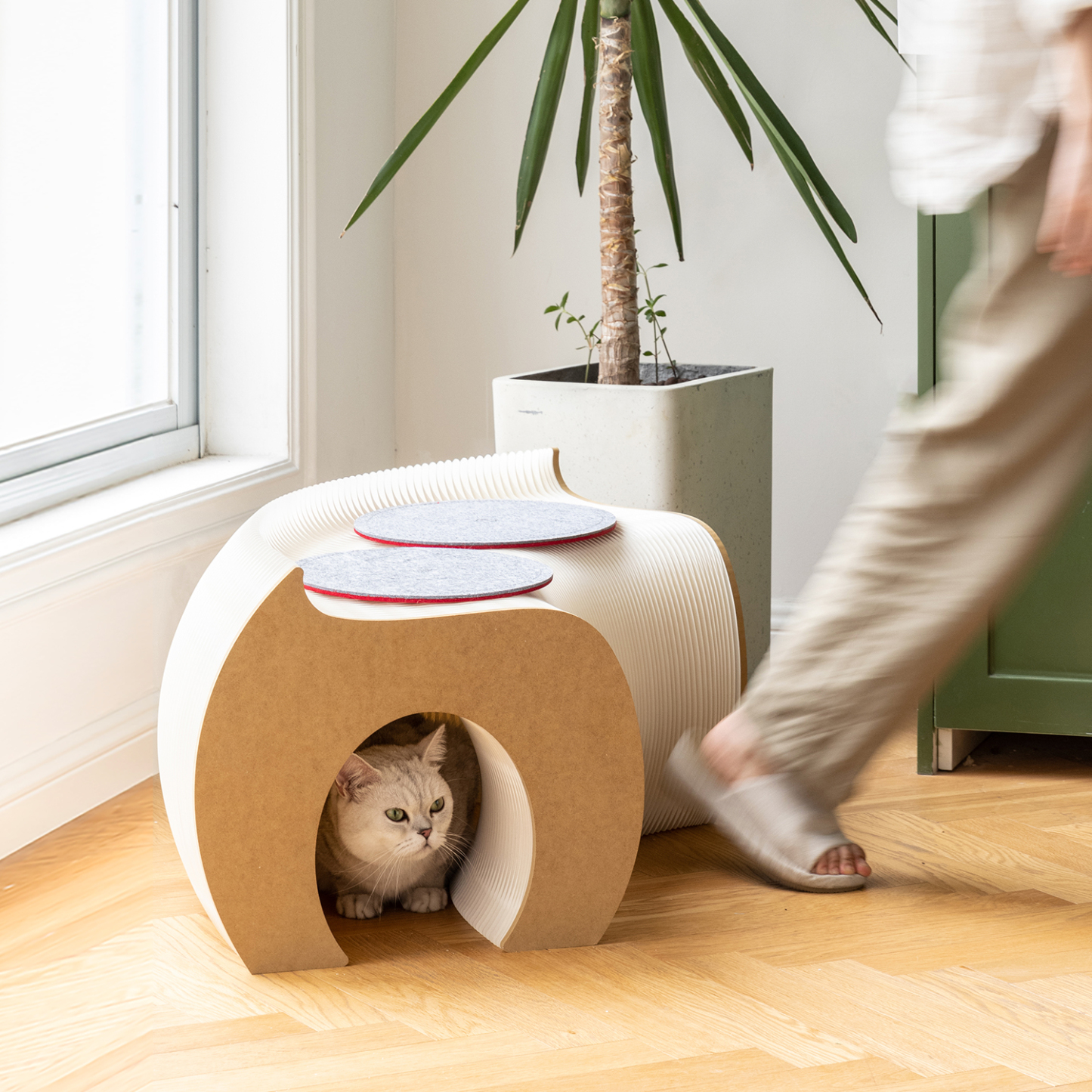 Kraft Paper 猫用トンネル型ベンチ | くぐって休めるやさしい遊び場