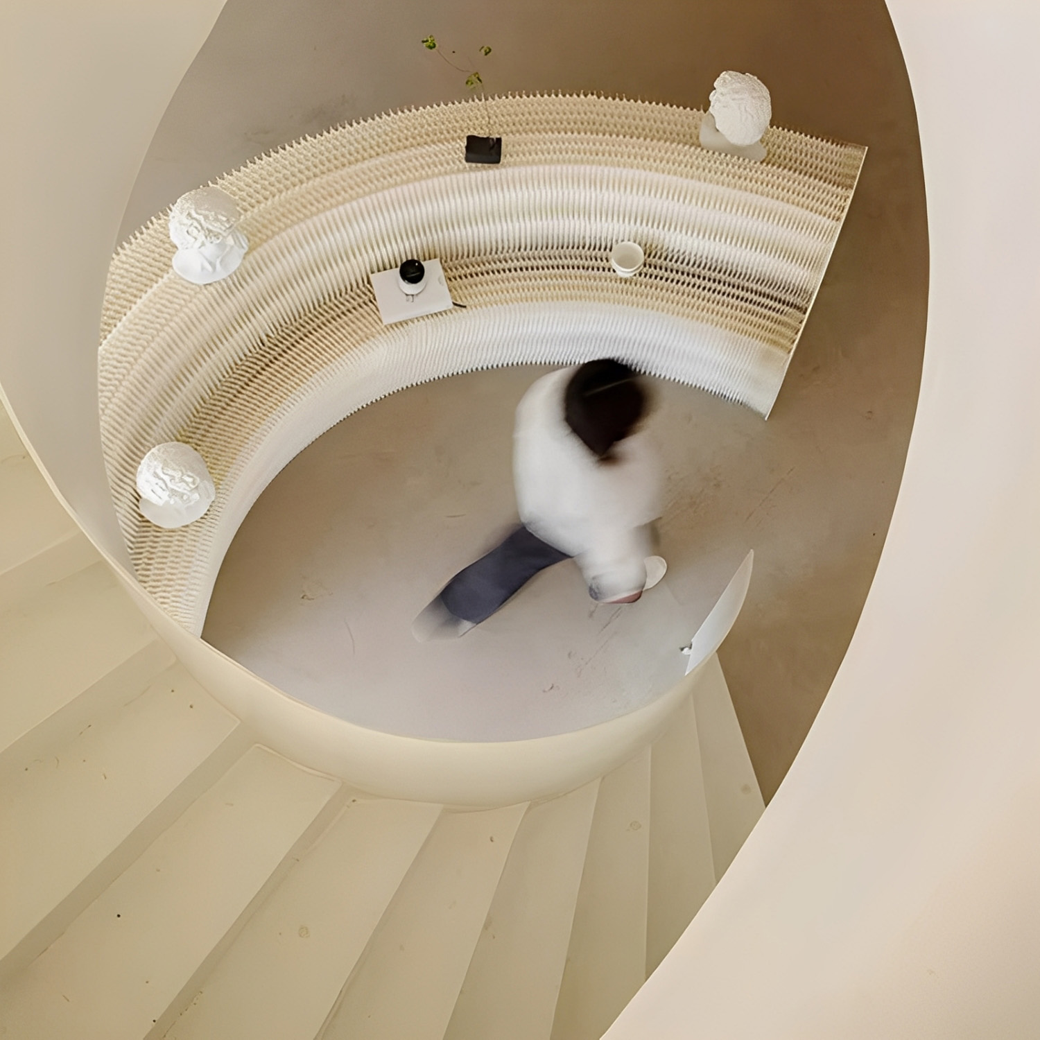Kraft Paper クラフト紙エコシステム展示台