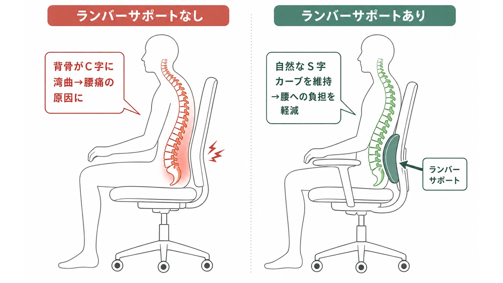 ランバーサポートが腰椎を支えるイメージ