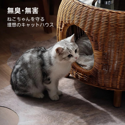ラタン製キャットハウスサイドテーブル