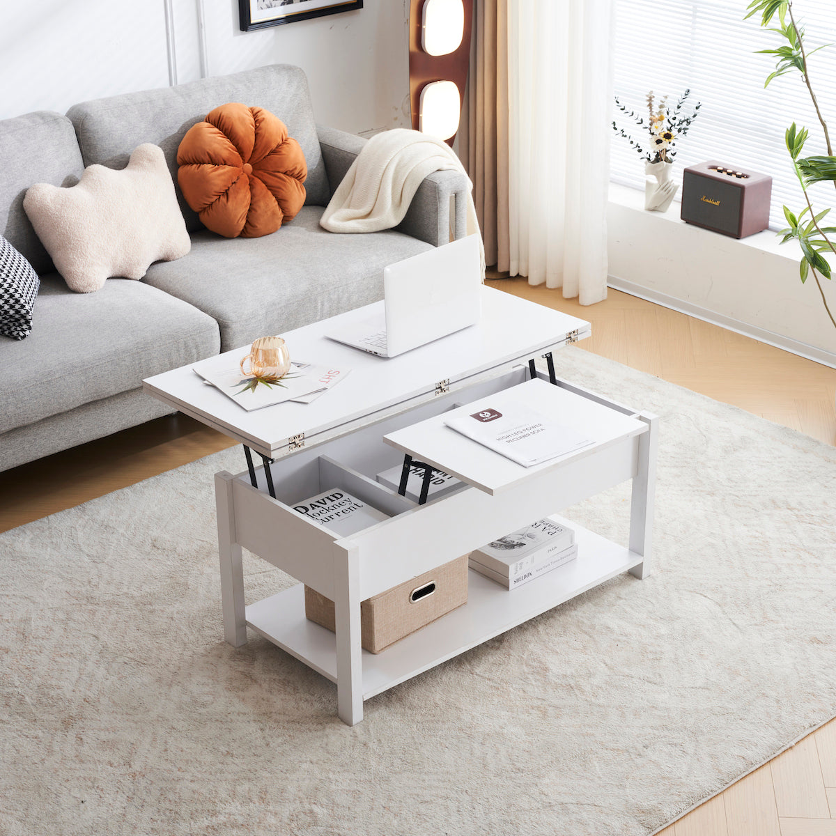 リフトアップ式収納付きセンターテーブル | 多機能デザインで生活空間