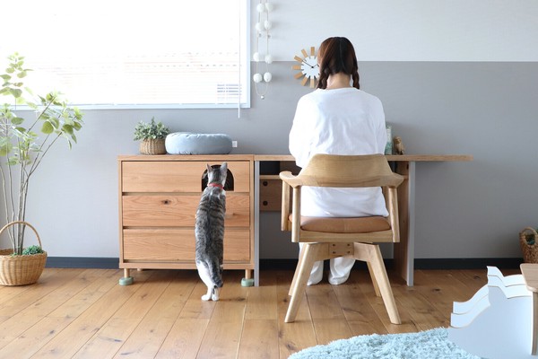キャットサイドワークデスク