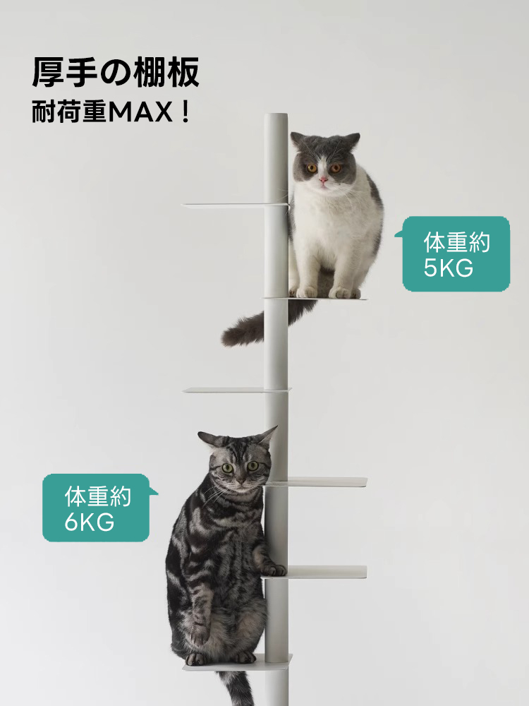スリム回転式本棚