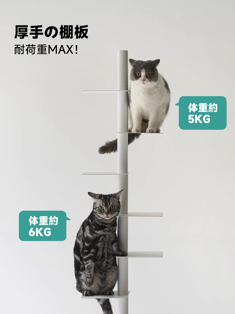 スリム回転式本棚