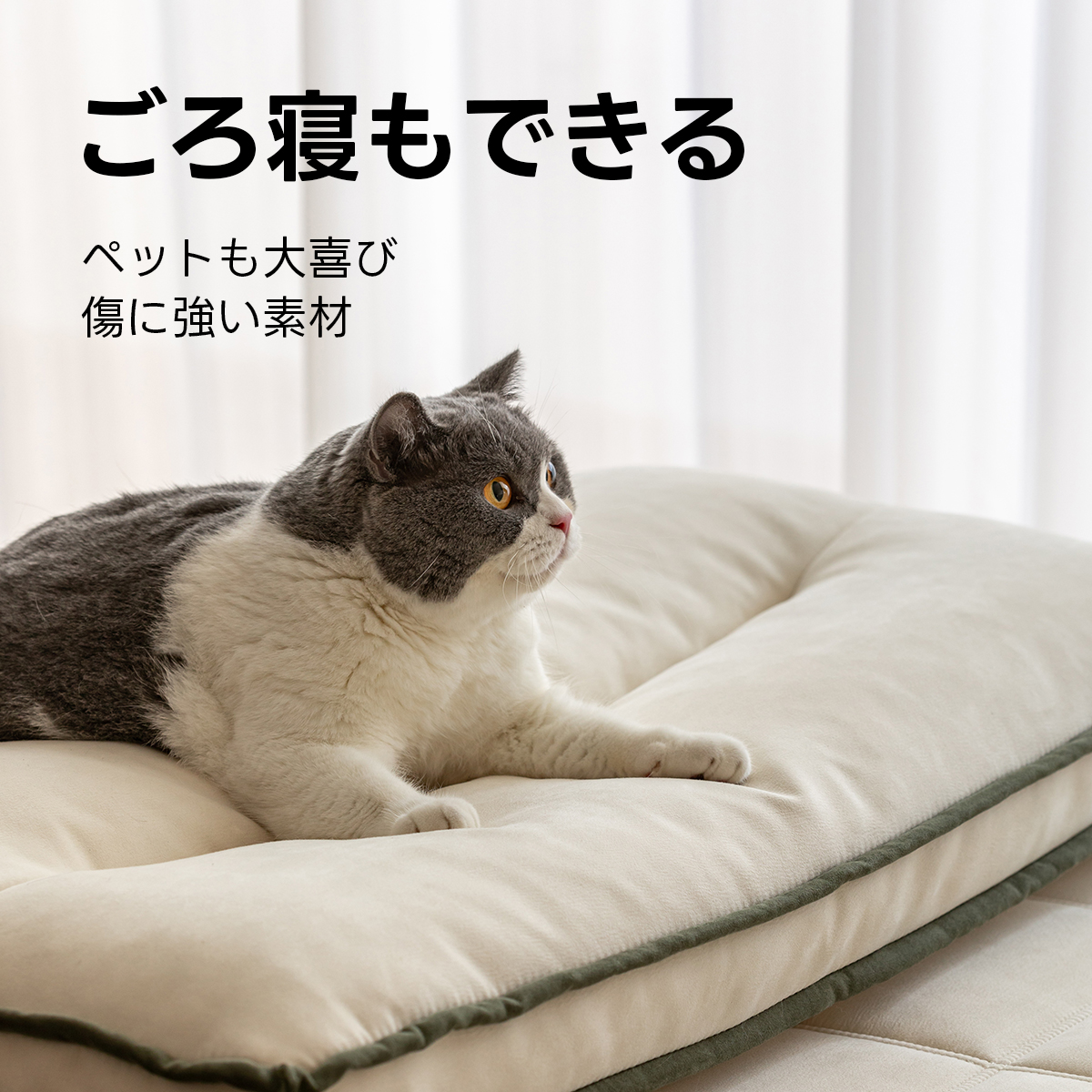 レイヤードローソファ | 組み替え自在で暮らしに寄り添うスタイル – CAGUUU