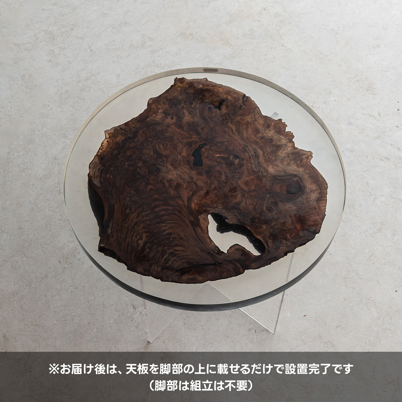 【手付金】Ever Wood ウォールナット製T型脚ローテーブル天板