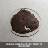 【手付金】Ever Wood ウォールナット製T型脚ローテーブル天板