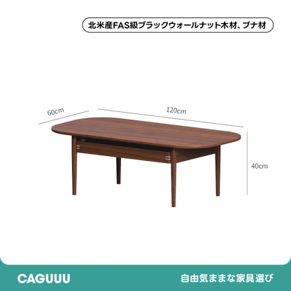 Woody Prime Walnut ウォールナット材 収納引き出し付きセンターテーブル
