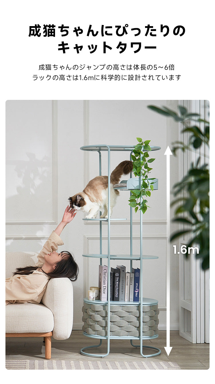 大特価＆在庫限り】猫用品シリーズ収納ラック – CAGUUU