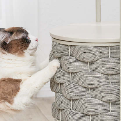 大特価＆在庫限り】猫用品シリーズ収納ラック – CAGUUU