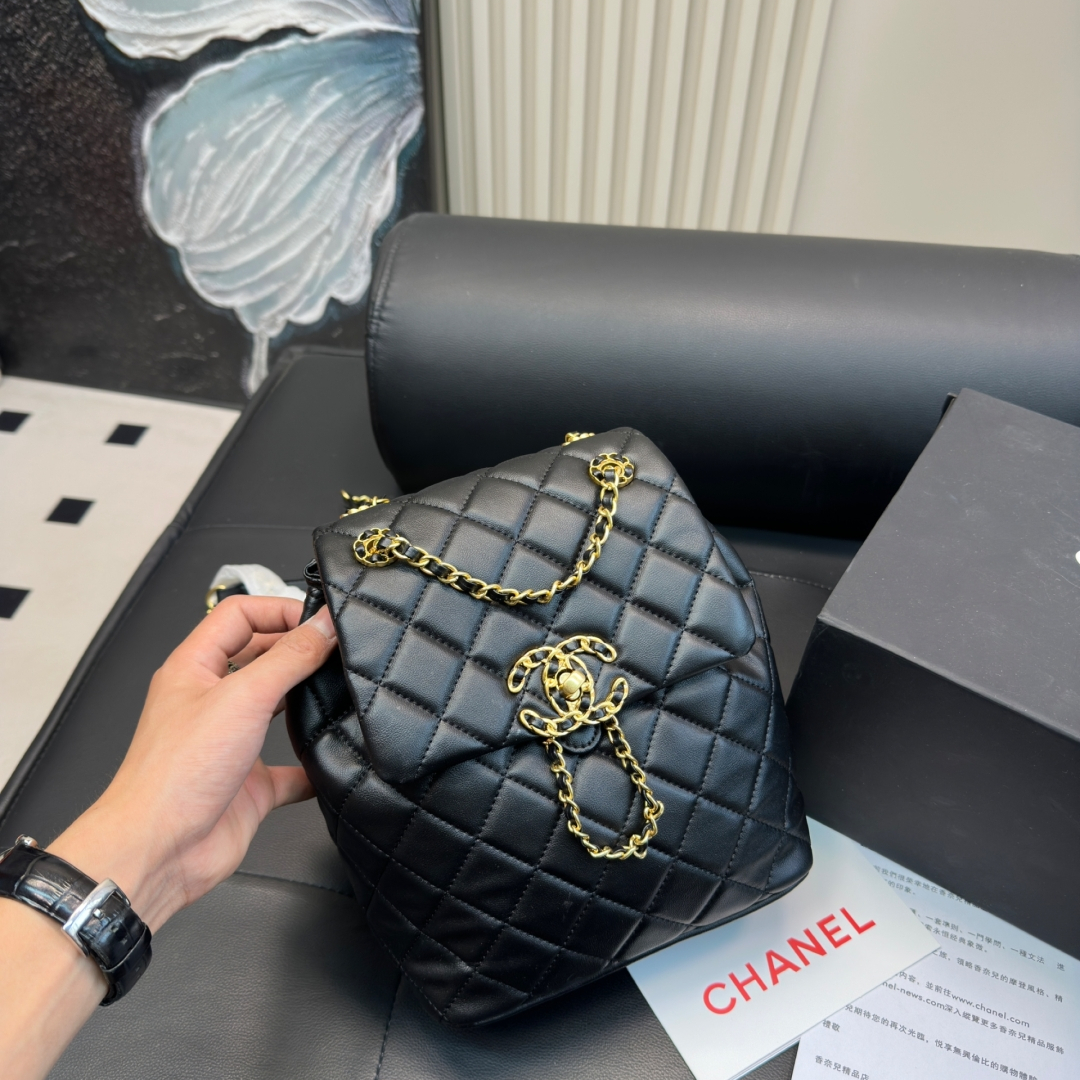 シャネル(Chanel) 24P  リュック バッグ  20X23mm