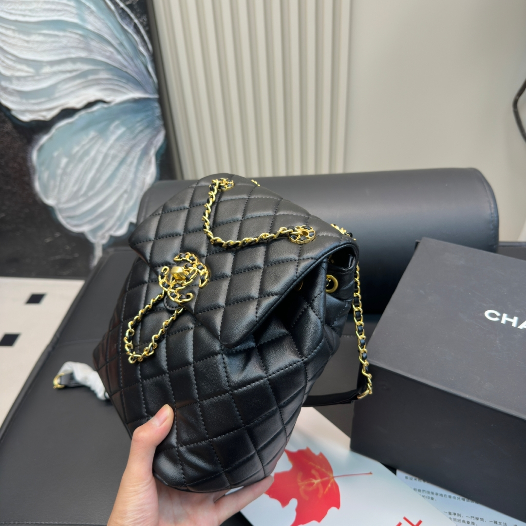 シャネル(Chanel) 24P  リュック バッグ  20X23mm