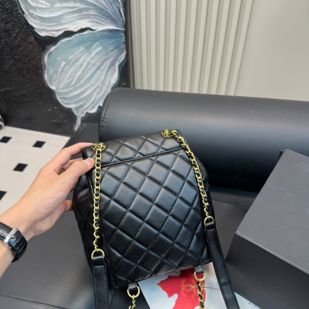 シャネル(Chanel) 24P  リュック バッグ  20X23mm