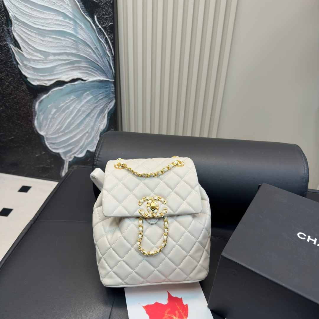 シャネル(Chanel) 24P  リュック バッグ  20X23mm