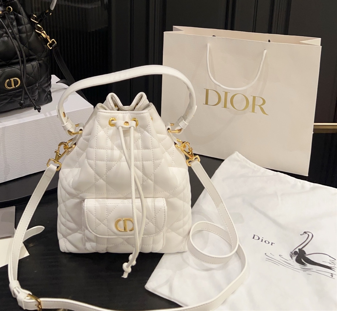 ディオール(Dior)  ミニ Caro バッグ  20X26cm