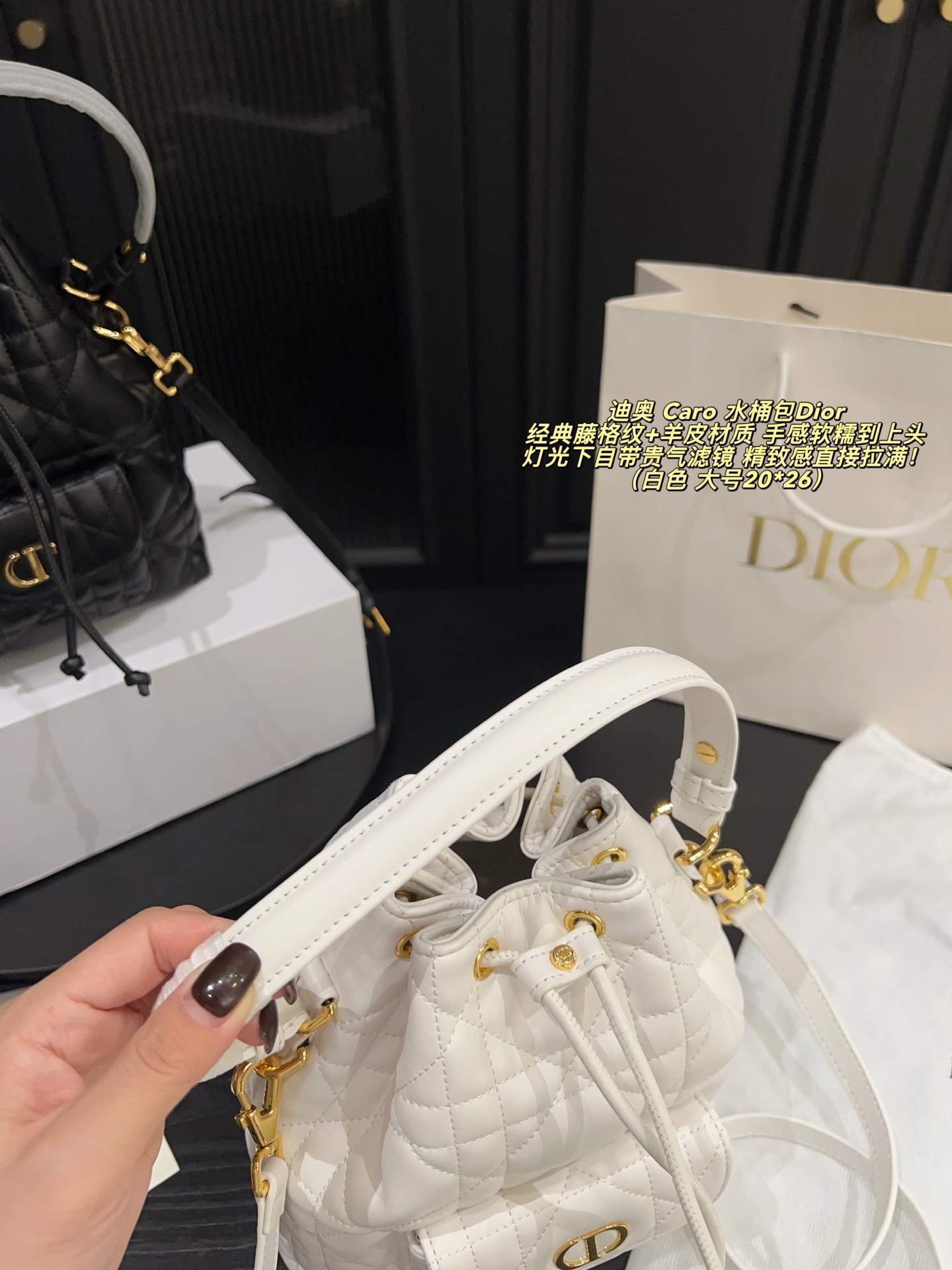ディオール(Dior)  ミニ Caro バッグ  20X26cm