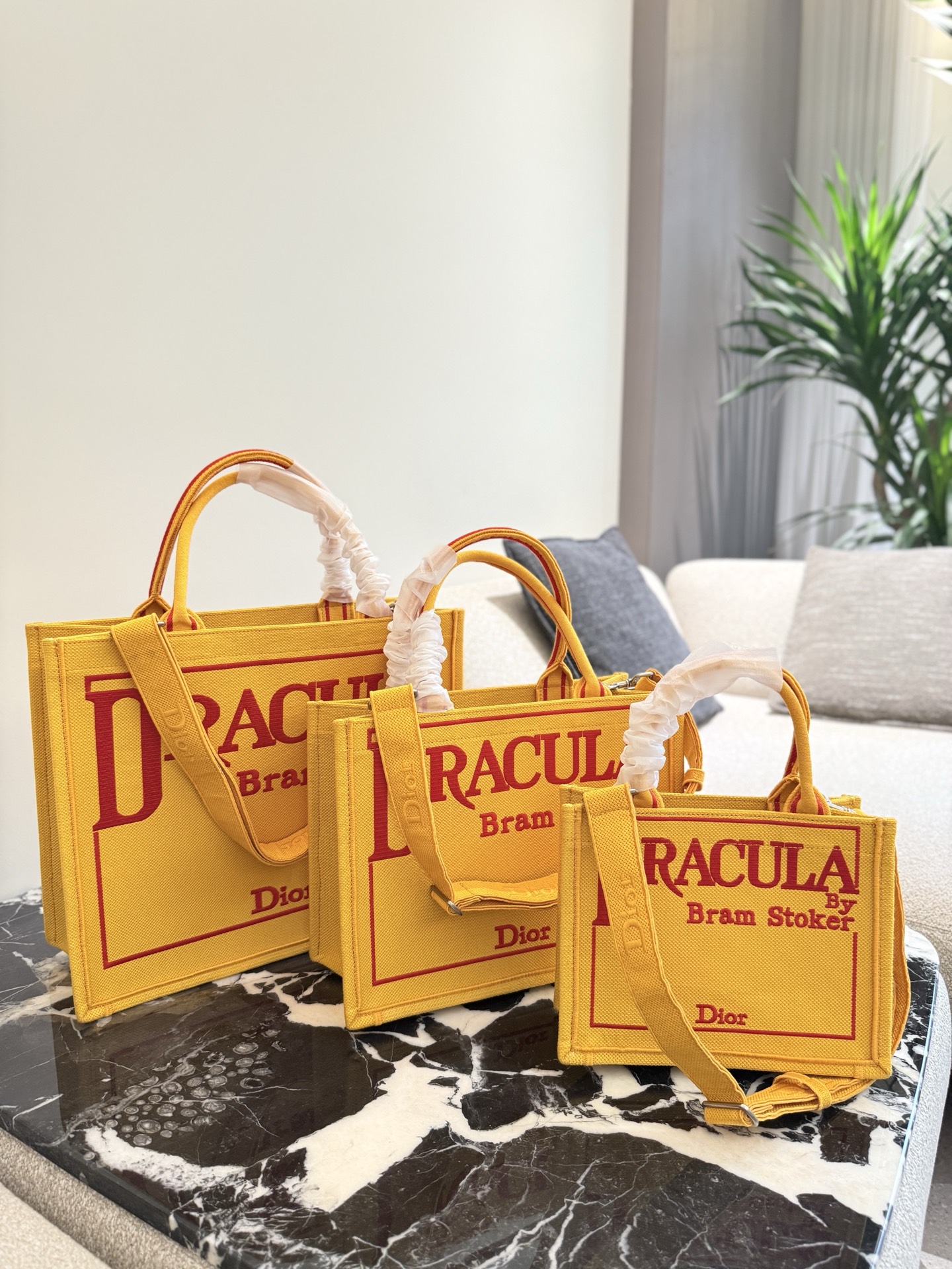 ディオール(Dior)  CD Booktote 2025 新作 バッグ