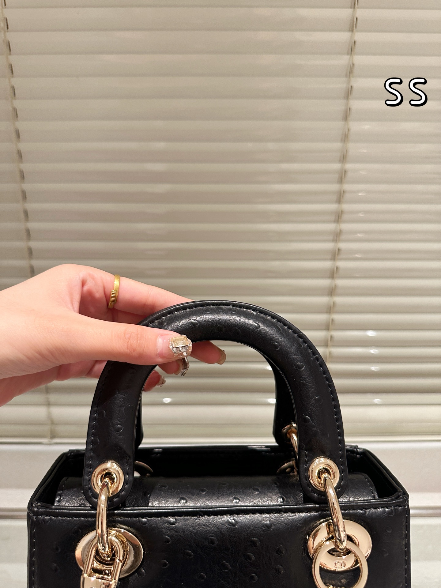 ディオール(Dior)  CD Lady  ダチョウ バッグ 20cm