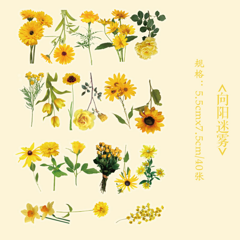 Early foam PET stickers package floral romantic series creative flower plant journal DIY material stickers 8 types selection