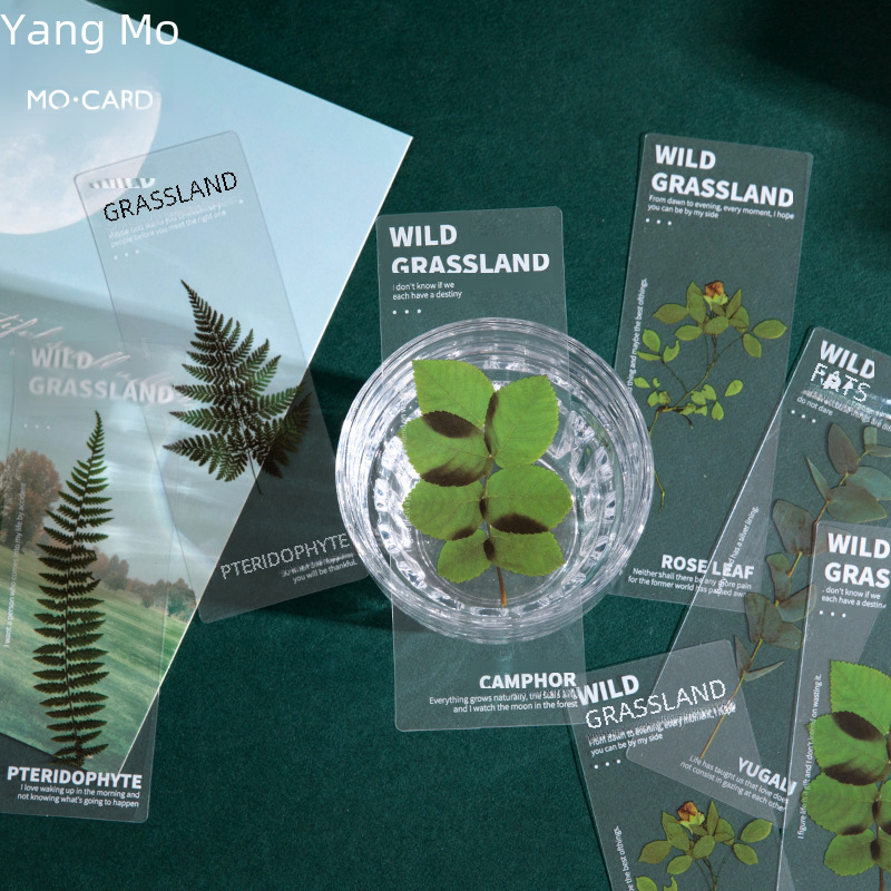 Mysterious Pet Semi-transparent Bookmarks Natural Plant Series Ins Style Handbook Diy Material Decoration 5 Pieces In 6 Styles