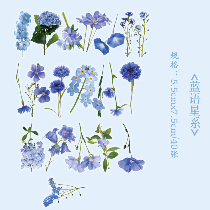 Early foam PET stickers package floral romantic series creative flower plant journal DIY material stickers 8 types selection