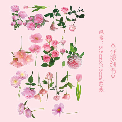 Early foam PET stickers package floral romantic series creative flower plant journal DIY material stickers 8 types selection
