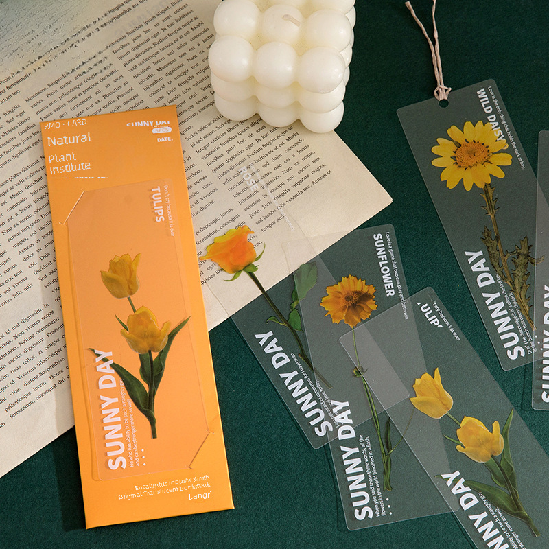 Mysterious Pet Semi-transparent Bookmarks Natural Plant Series Ins Style Handbook Diy Material Decoration 5 Pieces In 6 Styles