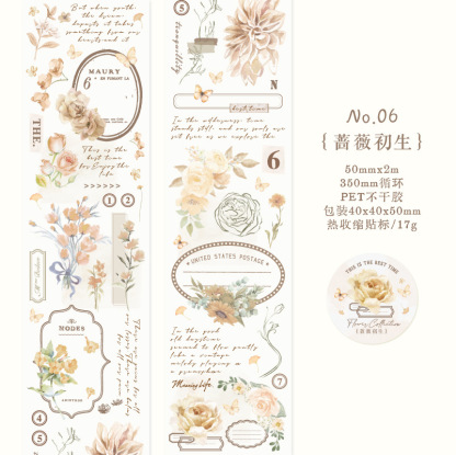 Twilight PET Tape Slowly Daily Series Retro Hand Account Material Collage European Decorative Stickers DIY 6