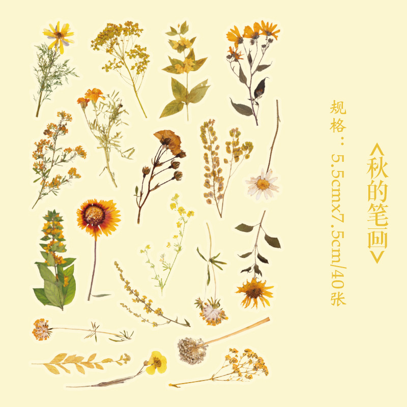 Early foam PET stickers package floral romantic series creative flower plant journal DIY material stickers 8 types selection