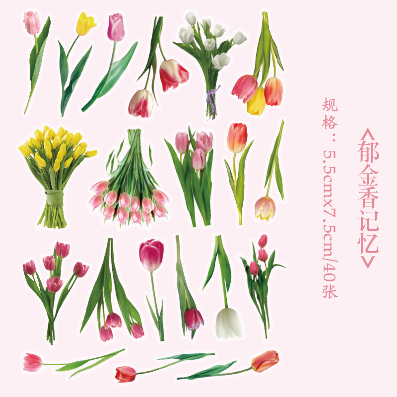 Early foam PET stickers package floral romantic series creative flower plant journal DIY material stickers 8 types selection